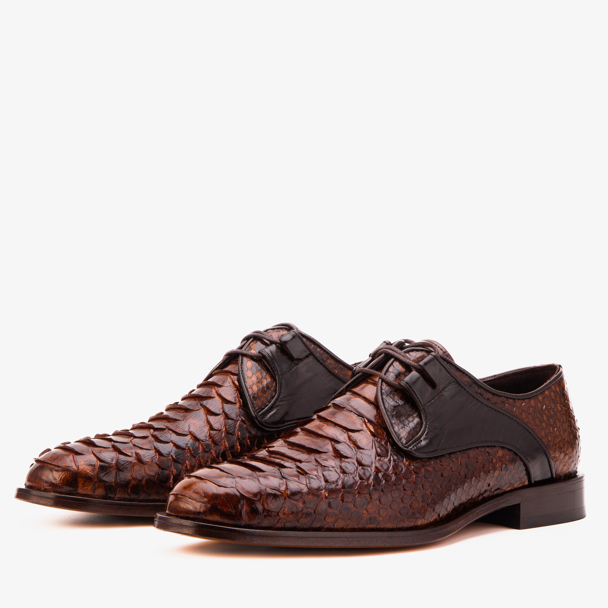 The Valmont Tan Python Leather Derby Shoe - Vinci Leather