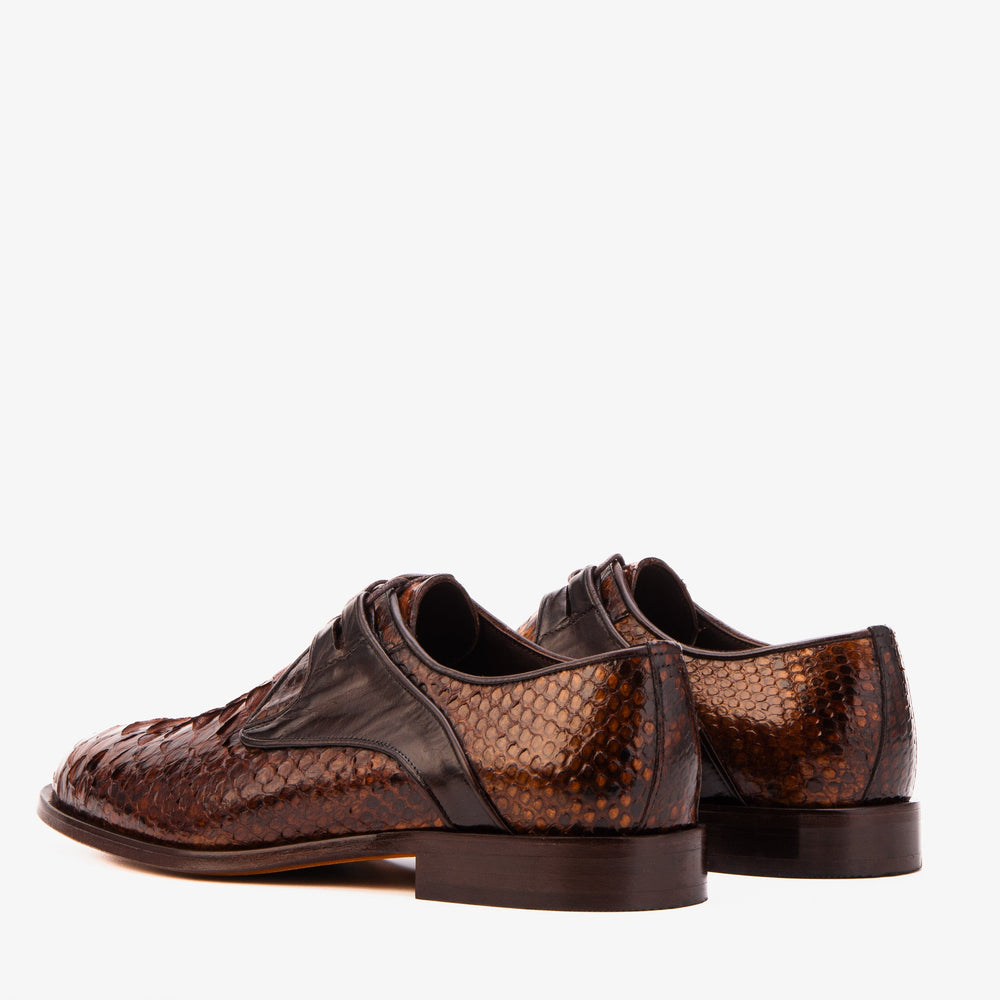 The Valmont Tan Python Leather Derby Shoe - Vinci Leather