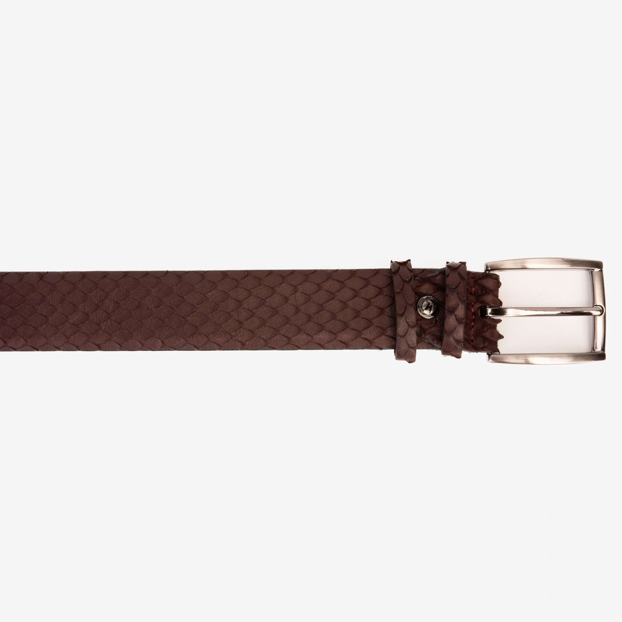 The Majesty Burgundy Leather Belt - Vinci Leather