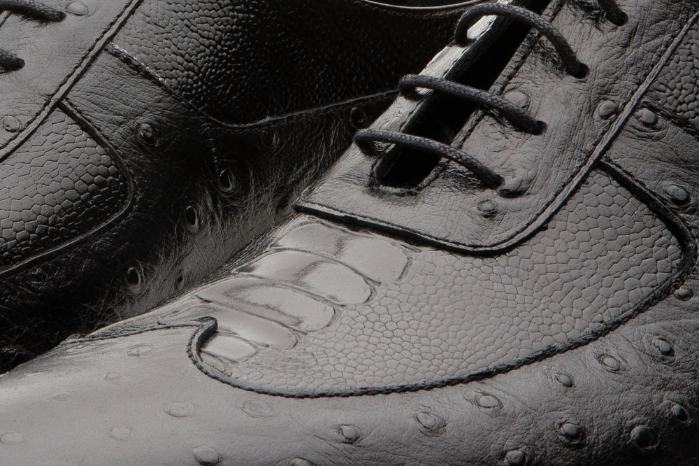The Alabama Black Wingtip Oxford Shoe - Vinci Leather