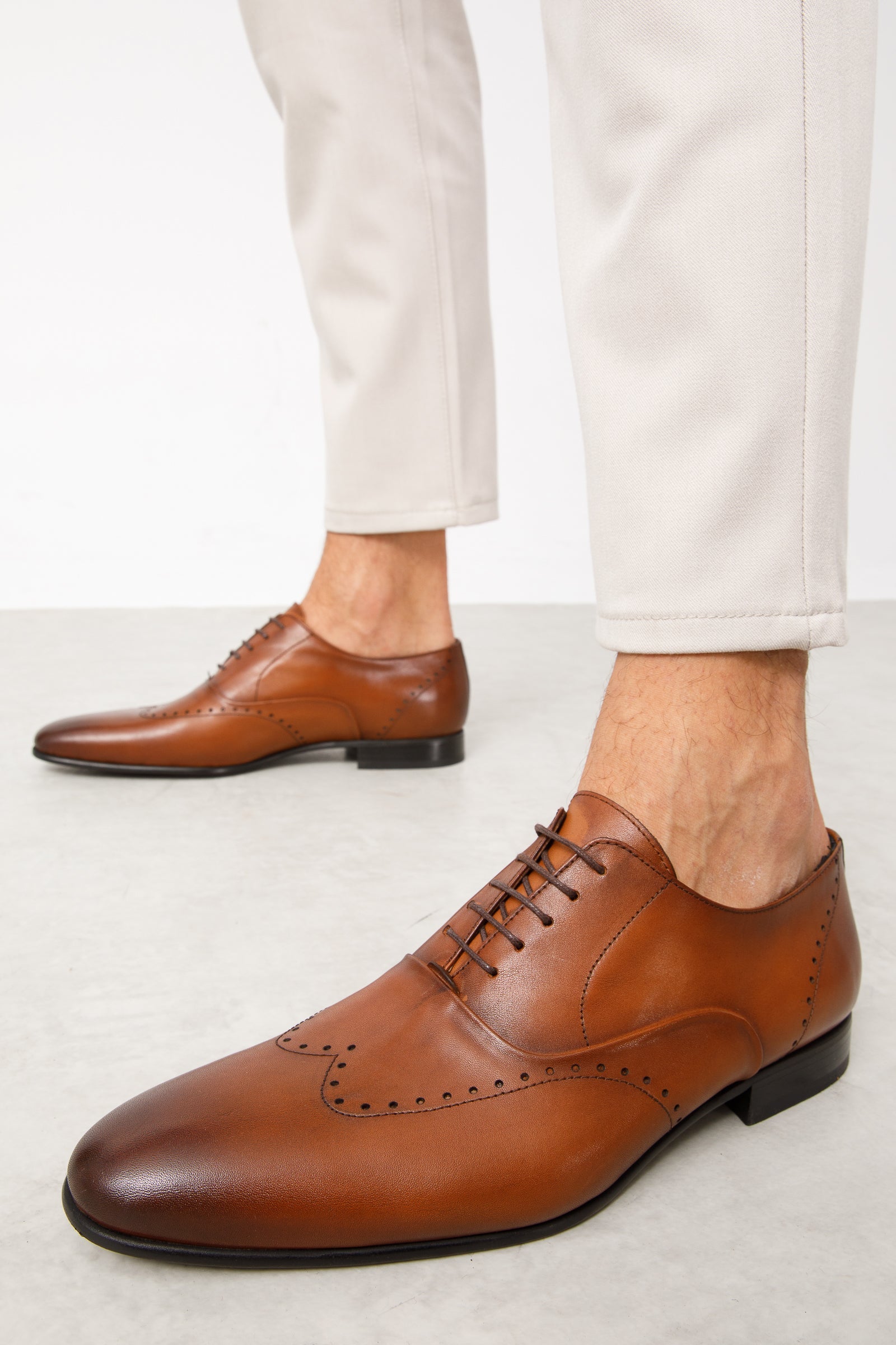The Roma Tan Leather Wingtip Oxford Shoe - Vinci Leather